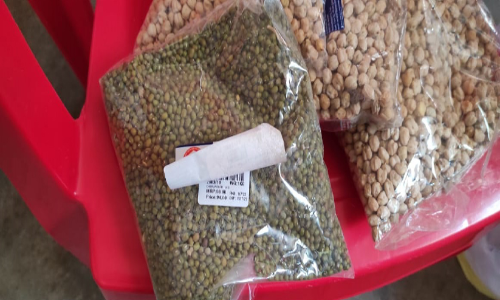 അംഗൻവാടി കുരുന്നുകൾക്ക് വിതരണം ചെയ്തത്​   പഴകിയ കടലയും പയറും