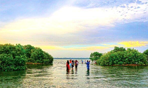 സാ​മ്പ്രാ​ണി​ക്കോ​ടി തു​റ​ക്കാ​ൻ ന​ട​പ​ടി വേ​ണ​മെ​ന്ന്; അടച്ചിട്ട്​ ആഴ്ചകൾ