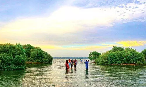 സാ​മ്പ്രാ​ണി​ക്കോ​ടി തു​റ​ക്കാ​ൻ ന​ട​പ​ടി വേ​ണ​മെ​ന്ന്; അടച്ചിട്ട്​ ആഴ്ചകൾ