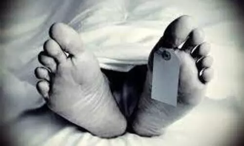 തേങ്ങ തലയിൽവീണ് യുവതിക്ക് ദാരുണാന്ത്യം