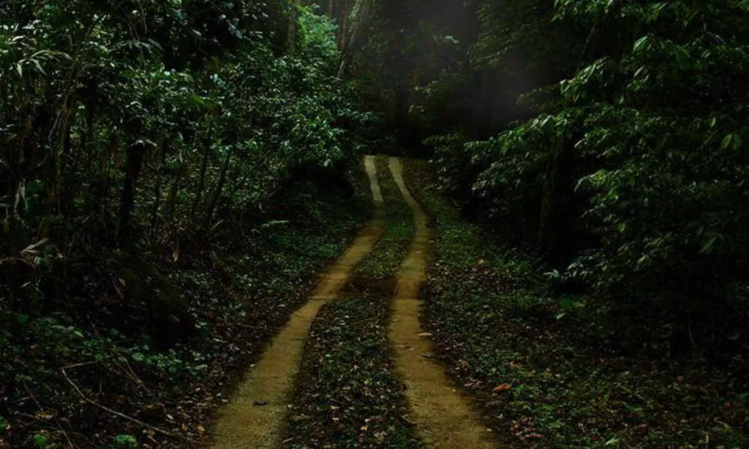 തൊള്ളായിരം കണ്ടിയില്‍ സഞ്ചാരികള്‍ക്കുളള വിലക്ക് നീക്കി