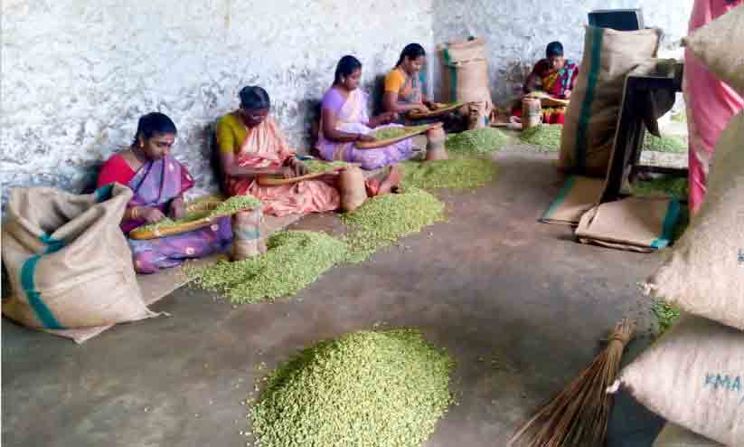 ഏലം വാടുന്ന കാലം ഏലം വാടുന്ന കാലം