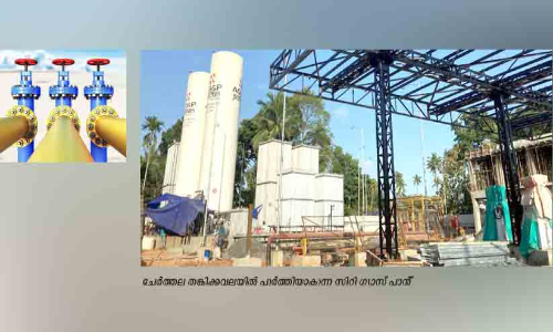 എൽ.പി.ജിയെക്കാൾ വിലക്കുറവ്; ഓണത്തിന്​ സിറ്റി ഗ്യാസ്​ വീടുകളിലേക്ക്