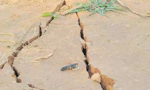 കൈലാസംപടിയിലെ ഭൂമി വിള്ളൽ; കാരണം കണ്ടെത്താനാവാതെ ഭൗമ പഠനം കൈലാസംപടിയിലെ ഭൂമി വിള്ളൽ; കാരണം കണ്ടെത്താനാവാതെ ഭൗമ പഠനം