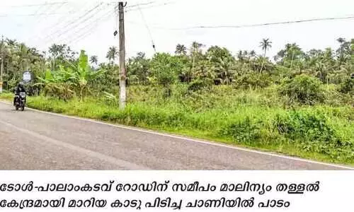 മാലിന്യം തള്ളൽ കേന്ദ്രമായി ചാണിയിൽ പാടശേഖരം മാലിന്യം തള്ളൽ കേന്ദ്രമായി ചാണിയിൽ പാടശേഖരം