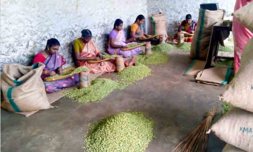 ഏലം വാടുന്ന കാലം