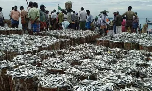 ചെറുമത്സ്യങ്ങളെ പിടിക്കുന്നതും വിൽക്കുന്നതും തടയണം -മത്സ്യത്തൊഴിലാളി ഐക്യവേദി