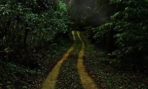 തൊള്ളായിരം കണ്ടിയില് സഞ്ചാരികള്ക്കുളള വിലക്ക് നീക്കി തൊള്ളായിരം കണ്ടിയില് സഞ്ചാരികള്ക്കുളള വിലക്ക് നീക്കി