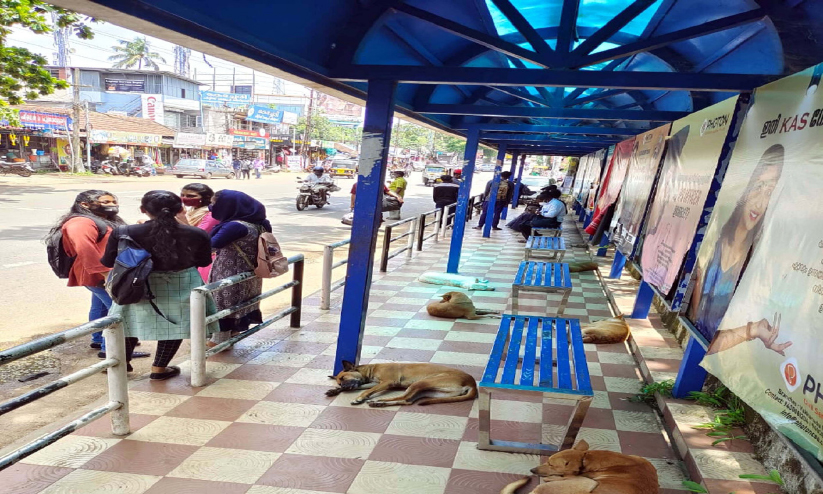 ഭീതിപരത്തി തെരുവുനായ്ക്കൾ, അധികൃതർക്ക് നിസ്സംഗത ഭീതിപരത്തി തെരുവുനായ്ക്കൾ, അധികൃതർക്ക് നിസ്സംഗത