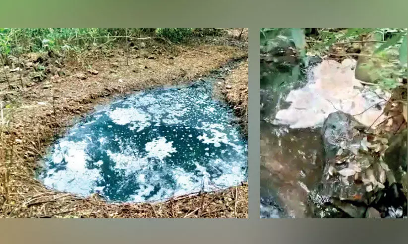 വെള്ളിയാറിലേക്ക് ഫാക്ടറി മാലിന്യം; പ്രതിഷേധം ശക്തം വെള്ളിയാറിലേക്ക് ഫാക്ടറി മാലിന്യം; പ്രതിഷേധം ശക്തം