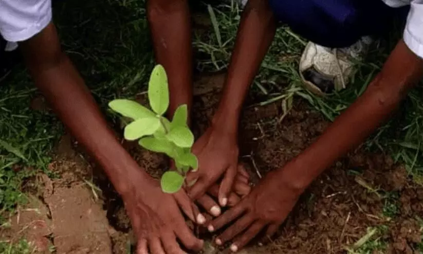 Nashik School Stops Tribal Girl Having Menstruation From Planting