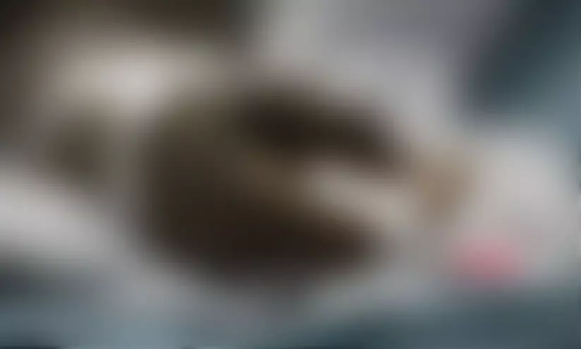 കാണാതായ 17കാരിയെ തലപൊട്ടി ചോര വാർന്ന നിലയിൽ കണ്ടെത്തി