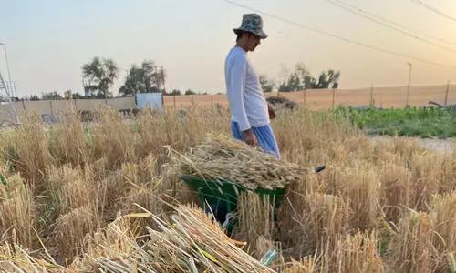 ഭക്ഷ്യസുരക്ഷയിൽ അറബ് ലോകത്ത് ഒന്നാമത് യു.എ.ഇ