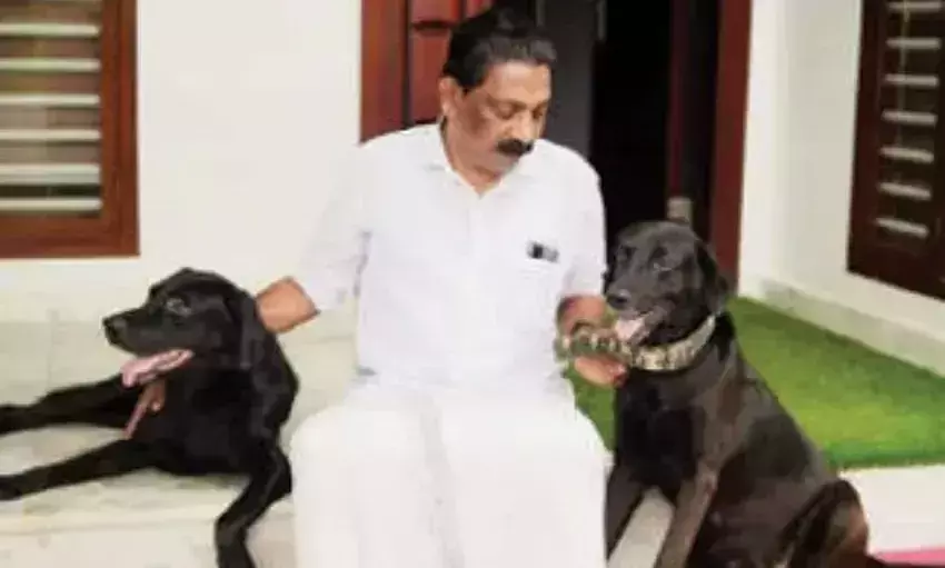 പേ പിടിച്ച നായയെ വെടിവെച്ചുകൊന്ന സംഭവം; പഞ്ചായത്ത് പ്രസിഡന്റിനെതിരെ മൃഗസ്‌നേഹികൾ