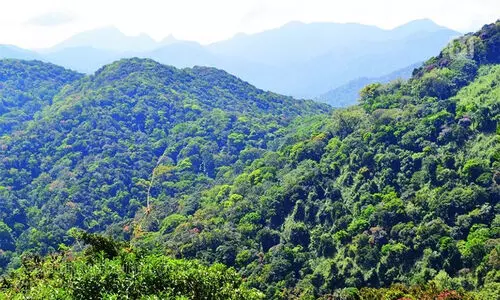 പരിസ്ഥിതിലോല മേഖല: മന്ത്രിസഭ തീരുമാനത്തിൽ വയനാടിന് ​പ്രതീക്ഷ