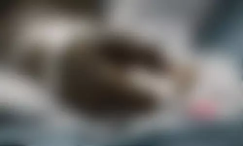 കാണാതായ 17കാരിയെ തലപൊട്ടി ചോര വാർന്ന നിലയിൽ കണ്ടെത്തി