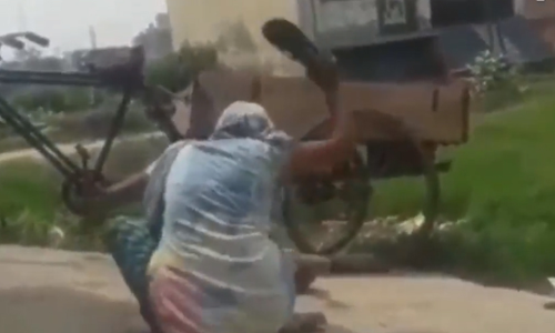 ഒരു വയസ്സുകാരിയെ ചതുപ്പിലേക്കെറിഞ്ഞ് ചെരുപ്പ് കൊണ്ടടിച്ച മാതാവിനെതിരെ കേസ്