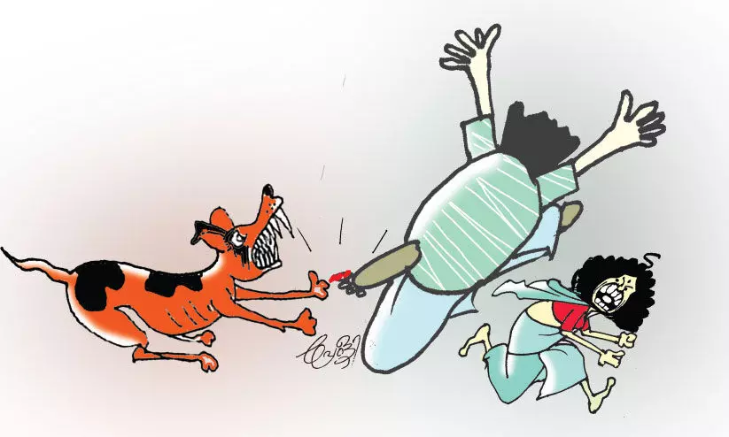 തൃപ്പൂണിത്തുറയിൽ തെരുവുനായ് ആക്രമണം; ആറു പേർക്ക് കടിയേറ്റു