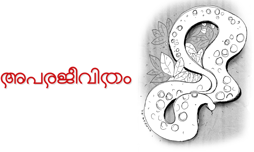 അപരജീവിതം അപരജീവിതം