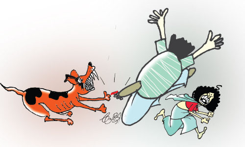 തൃപ്പൂണിത്തുറയിൽ തെരുവുനായ് ആക്രമണം; ആറു പേർക്ക് കടിയേറ്റു