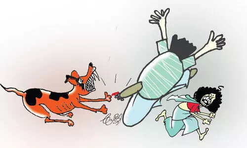 തൃപ്പൂണിത്തുറയിൽ തെരുവുനായ് ആക്രമണം; ആറു പേർക്ക് കടിയേറ്റു