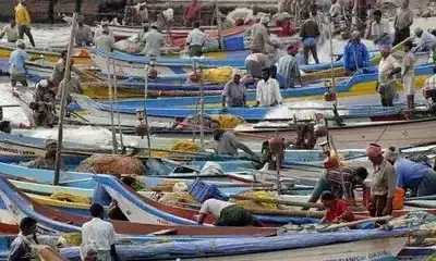 പുതു സൗകര്യങ്ങളുമായി പുതിയാപ്പ മത്സ്യബന്ധന തുറമുഖം