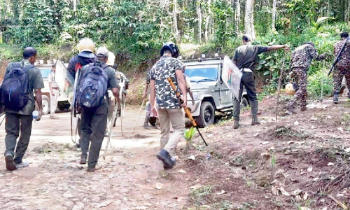 ചേപ്പിലയിൽ കടുവയെ കണ്ടെത്തി ചേപ്പിലയിൽ കടുവയെ കണ്ടെത്തി