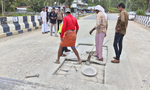 സ​മ​ര​ങ്ങ​ളും വാ​ർ​ത്ത​ക​ളും; പാ​തി​രി​പ്പാ​ല​ത്ത് താ​ൽ​ക്കാ​ലി​ക കു​ഴി​യ​ട​ക്ക​ൽ