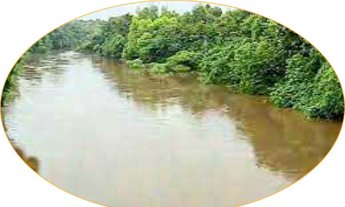 അച്ചൻകോവിലാർ തീരസംരക്ഷണം: ചീഫ് സെക്രട്ടറി ഇടപെടണമെന്ന് മനുഷ്യാവകാശ കമീഷൻ