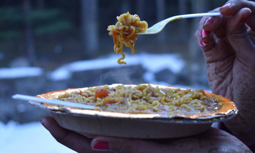 നൂഡിൽസിൽ എലിവിഷം ചേർത്ത തക്കാളി ​മുറിച്ചിട്ട് കഴിച്ച യുവതി മരിച്ചു