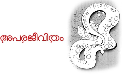 അപരജീവിതം