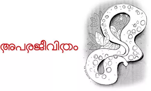 അപരജീവിതം അപരജീവിതം