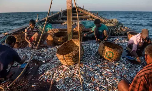 അ​​മി​​ത മ​ത്സ്യ​​ബ​​ന്ധ​​ന​​വും ലോ​​ക​സ​​മൂ​​ഹ​​വും