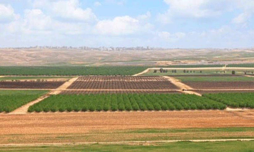 desert agriculture