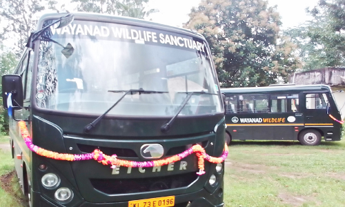 മുത്തങ്ങയിൽ കാനന യാത്രക്ക് വനംവകുപ്പിന്റെ ബസുകളെത്തി