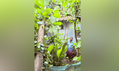 തേ​ക്ക് മ​രം വീ​ണ് വീ​ട് ത​ക​ർ​ന്നു; വീ​ട്ടു​കാ​ർ ര​ക്ഷ​പ്പെ​ട്ട​ത് ത​ല​നാ​രി​ഴ​ക്ക്