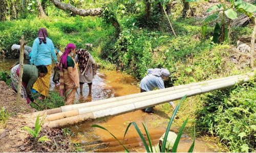 തെളിഞ്ഞൊഴുകുന്നത് 1249 തോടുകൾ
