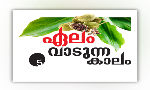 ജൈവ കൃഷി; ഏലത്തിലെ പുതിയ പ്രതീക്ഷ
