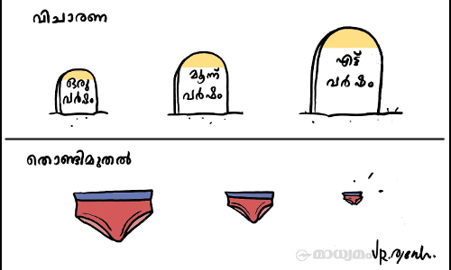 ആന്റണി രാജുവിനെതിരായ കേസ്; വിചാരണ നീളുന്നതിനെ വിമർശിച്ച് ഹൈക്കോടതി