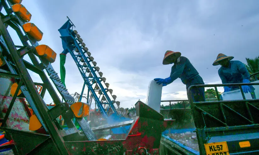 മനംനിറയെ, വലനിറക്കാൻ ബോട്ടുകൾ കടലിലേക്ക്