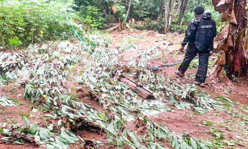 എരുമേലിയിൽ തോരാമഴ; കനത്തനാശം എരുമേലിയിൽ തോരാമഴ; കനത്തനാശം