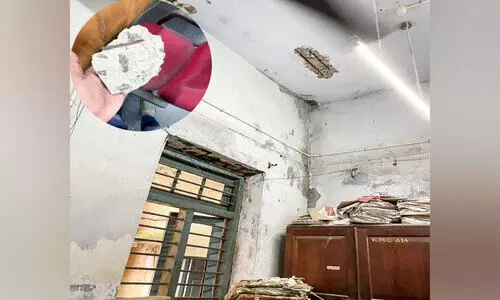 കോൺക്രീറ്റ് പാളി അടർന്നുവീണു; നഗരസഭ ജീവനക്കാരി രക്ഷപ്പെട്ടു കോൺക്രീറ്റ് പാളി അടർന്നുവീണു; നഗരസഭ ജീവനക്കാരി രക്ഷപ്പെട്ടു