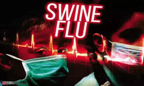 ആ​ഫ്രി​ക്ക​ൻ പന്നിപ്പനി: അതിർത്തി ചെക്‌പോസ്റ്റുകളിൽ പരിശോധന ശക്തമാക്കി