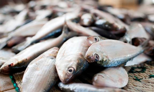 ഓപ്പറേഷൻ മത്സ്യ; ജൂലൈയിൽ പരിശോധിച്ചത്  166 സാമ്പിൾ