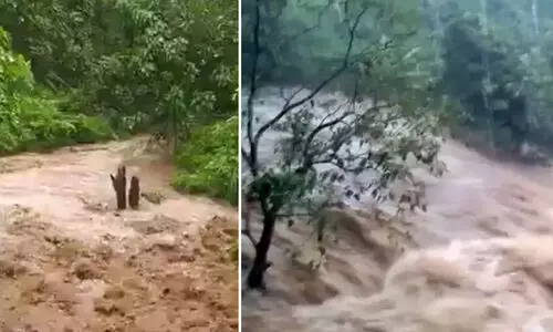 കനത്ത മഴ തുടരുന്നു; രണ്ടു മരണം, പലയിടങ്ങളിലും ഉരുൾപൊട്ടൽ
