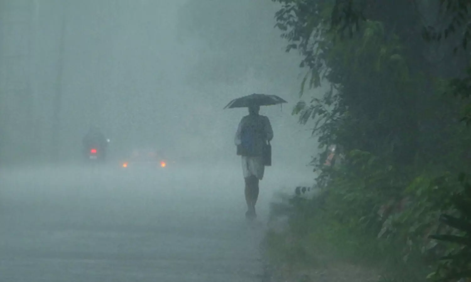വയനാട്ടിൽ ബുധൻ, വ്യാഴം റെഡ് അലർട്ട്; അതീവ ജാഗ്രത നിർദേശവുമായി ജില്ല ഭരണകൂടം