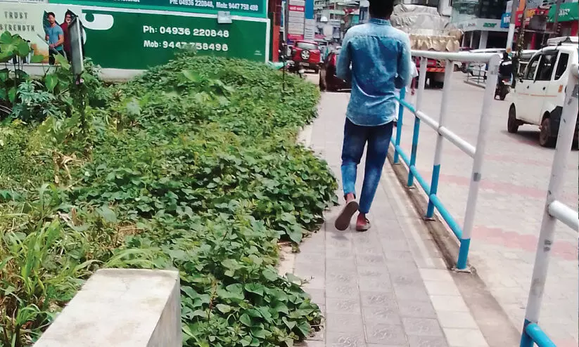 ന​ട​പ്പാ​ത നി​ർ​മി​ച്ച​ത് ല​ക്ഷ​ങ്ങ​ൾ മു​ട​ക്കി; കാ​ടു​വെ​ട്ടാ​ൻ കേ​ന്ദ്രം ക​നി​യ​ണം