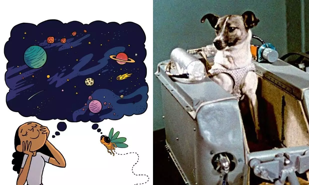 Animals That Went Into Space Before Humans