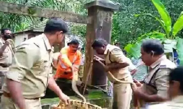 പൊള്ളലേറ്റ് കിടന്നയാളെ രക്ഷിക്കാനെത്തിയപ്പോൾ കിണറ്റിൽ ചാടി; പുറത്തെത്തിച്ച് ഫയർഫോഴ്സ് പൊള്ളലേറ്റ് കിടന്നയാളെ രക്ഷിക്കാനെത്തിയപ്പോൾ കിണറ്റിൽ ചാടി; പുറത്തെത്തിച്ച് ഫയർഫോഴ്സ്