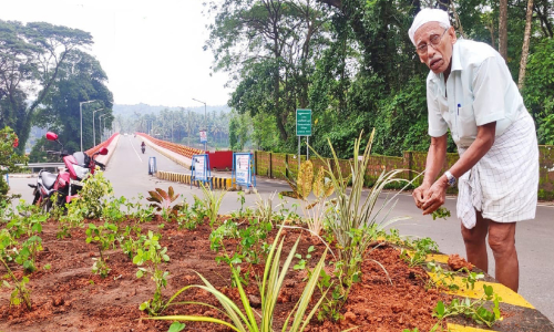 എളമരം പാലം ജങ്ഷനിലും അബ്ദുല്ലയുടെ പൂച്ചെടികൾ തളിർക്കും